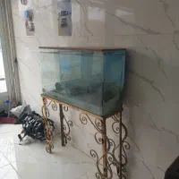 اکواریم در حد نو