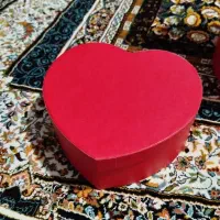 راهنمایی میکنم کاردرمنزل