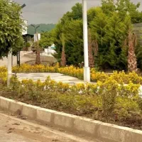 زمین-جنگلی-سنددار-نور-سند-انشعاب-کدرهگیری