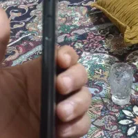 a12|موبایل|علی‌آباد کتول, |دیوار