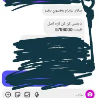 چادر مجلسی|لباس|مشهد, فلسطین|دیوار