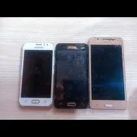 فقط السیدی میخان