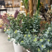 انواع گیاه و گل مصنوعی (اقساط) آکوهوم|گل مصنوعی|کیش, |دیوار