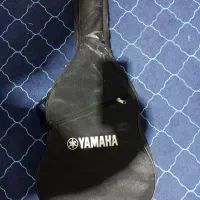 گیتار|گیتار، بیس، امپلیفایر|تربتحیدریه, قاسم آباد|دیوار