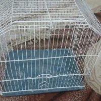 قفس قیمت پایین