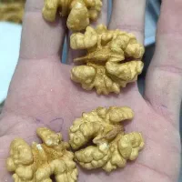 مغز گردو سفید و تازه فروش ویژه با تخفیف محدود|خوردنی و آشامیدنی|اصفهان, باغ فدک|دیوار