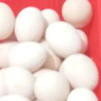 تخم مرغ محلی نطفه دار