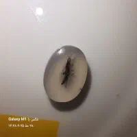 گوهر سنگ های طبیعی عقیق اسفراین|جواهرات|اسفراین, |دیوار