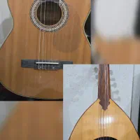 آموزش خصوصی موسیقی پاپ و سنتی