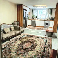56-متر-نورگیر-خوش-نقشه-و-تمیز-در-پیروزی