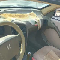 پژو مدل ۹۰|خودرو سواری و وانت|اراک, |دیوار