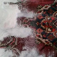 قالیشویی پدیده