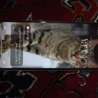 گوشی پوکو سی 71