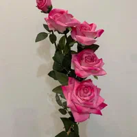 پرستار خانم برای سالمند خانم