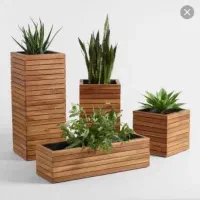 استند گل|گل و گیاه طبیعی|رشت, گلباغ نماز|دیوار