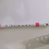 بلز و فلوت|سازهای بادی|پردیس, فاز ۱۱|دیوار