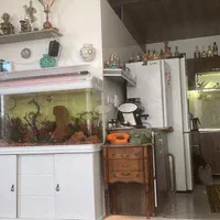 فروش ماهی و اکواریوم