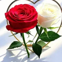 فروش یک عددگلدان