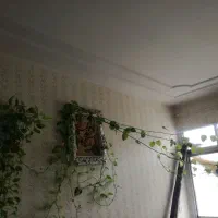 گل پتوس|گل مصنوعی|مشهد, یاس|دیوار