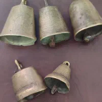 زنگوله