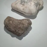 با درود .کریستال سفید برفی عقیق از دو صدف فسیل