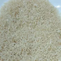 لاشه یا سرگل فجر مینودشت