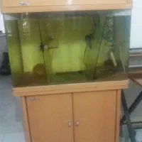اکواریوم ۸۰ سانتی خارجی