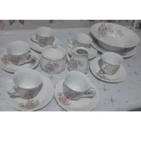 فنجان و زیرش