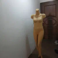 مانکن و میله دیواری و شاخک هاش