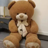 خرس بزرگ نو