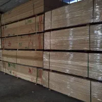 نوپان ارزان قیمت