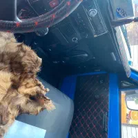 نیسان مدل 96 دو گانه کارخونه تناژ پایین|خودرو سواری و وانت|میانه, |دیوار