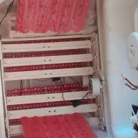 دستگاه جوجه کشی ۹۶ تایی سالم تضمینی|لوازم جانبی حیوانات|احمدسرگوراب, |دیوار