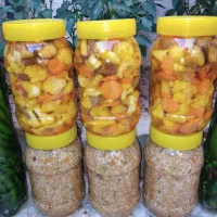 ترشی خونگی|خوردنی و آشامیدنی|شیراز, شهرک کوشکک|دیوار
