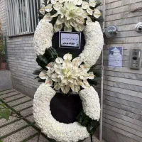 گل آرایی|گل و گیاه طبیعی|تهران, شهرک آزمایش|دیوار