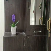 کمد جا کفش و لباس