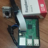 برد رزبری پای 3B