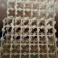 شانه دستگاه جوجه کشی