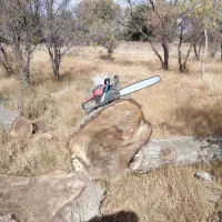 خ ریدچوببالاترین قیمت چوب خشک و تر|خدمات باغبانی و درختکاری|خرمدره, |دیوار