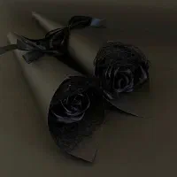 گل ربانی جاودان|گل مصنوعی|پرند, فاز ۶|دیوار