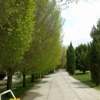 مسافرت وطبیعت گردی