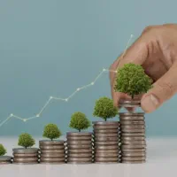 پیشنهاد سرمایه گذاری  ایده های پول ساز کوچک مطمعن