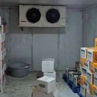 سردخانه زیر صفری 10dvm اسب آلمان