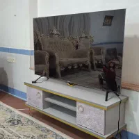 تلویزیون ایکس ویژن۵۵اینچ