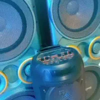 یک جفت باند خانگی فروشی