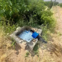 باغ انار ۱۲۰۰متر|فروش دفتر صنعتی، کشاورزی، تجاری|ساوه, |دیوار