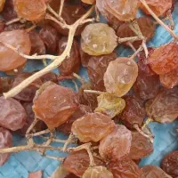 کشمش تیزابی خوشرنگ
