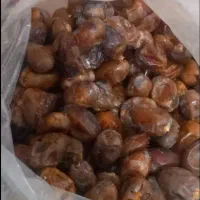 یخچال فریزر دوقلو