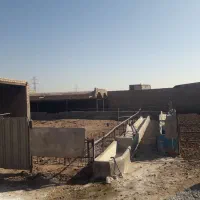 شریک یا ایده برای کسب وکار