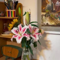 تدریس خصوصی و گروهی ریاضی، علوم، فارسی،عربی